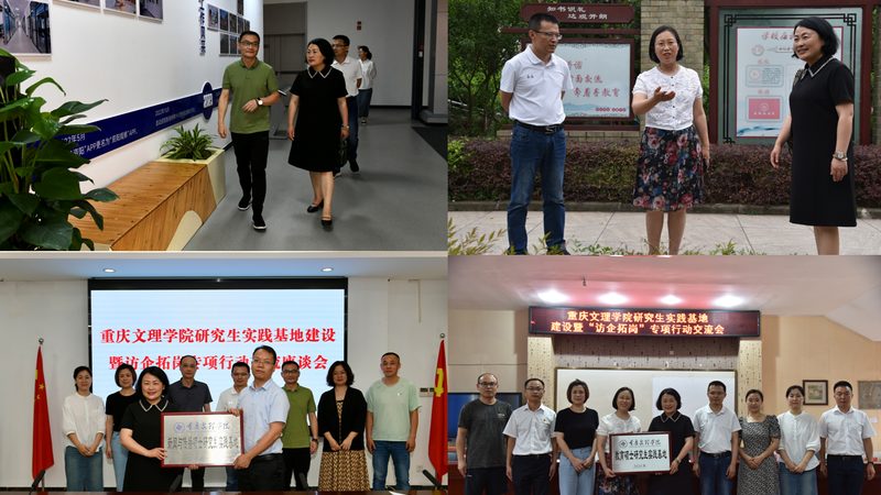 纪录片拍摄团队案例参考：揭秘团队构成与项目流程