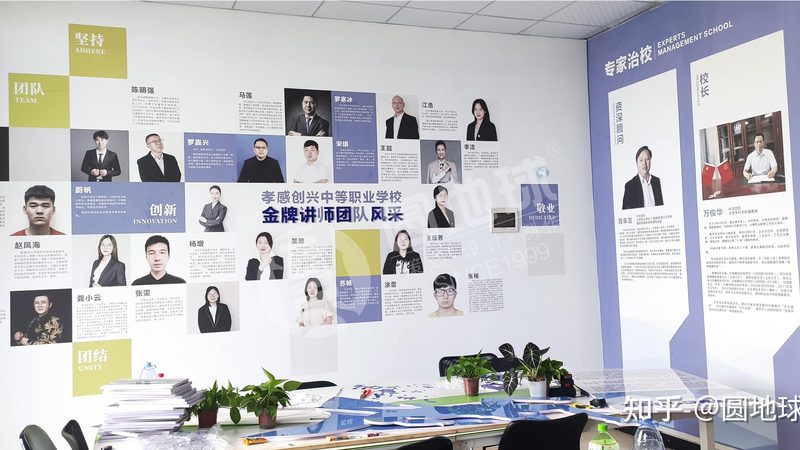 类型分类：了解不同背景布的特点